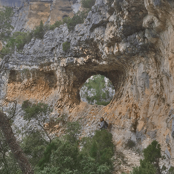 imgi_2_8963-normal-687dfb3e6d6f16.57153945