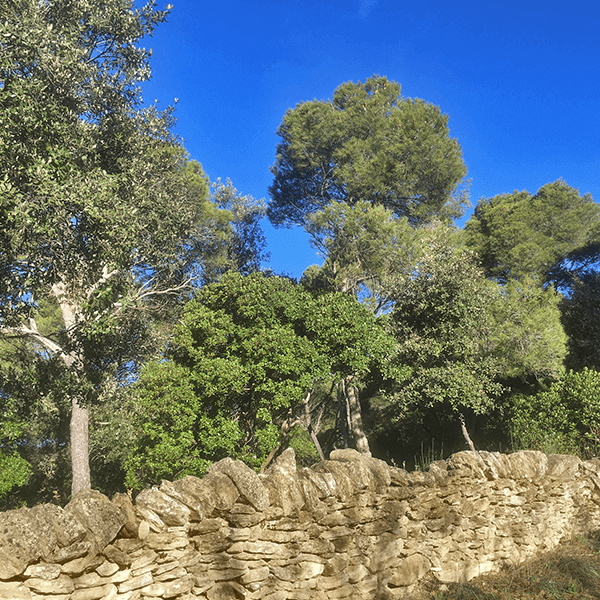 imgi_5_8965-normal-687dfc35dc4279.91662661