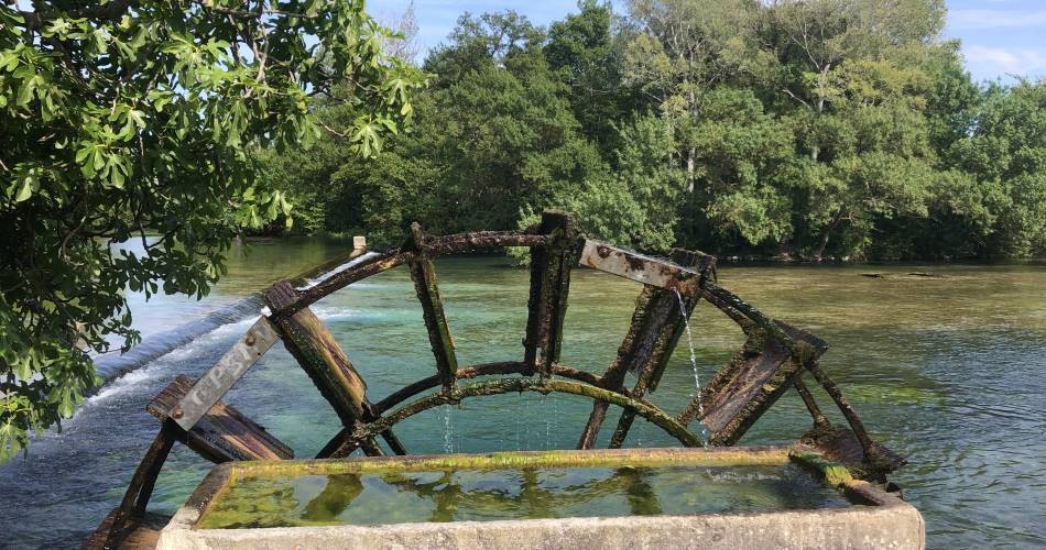 83881-normal-687e37b5783b47.42742405