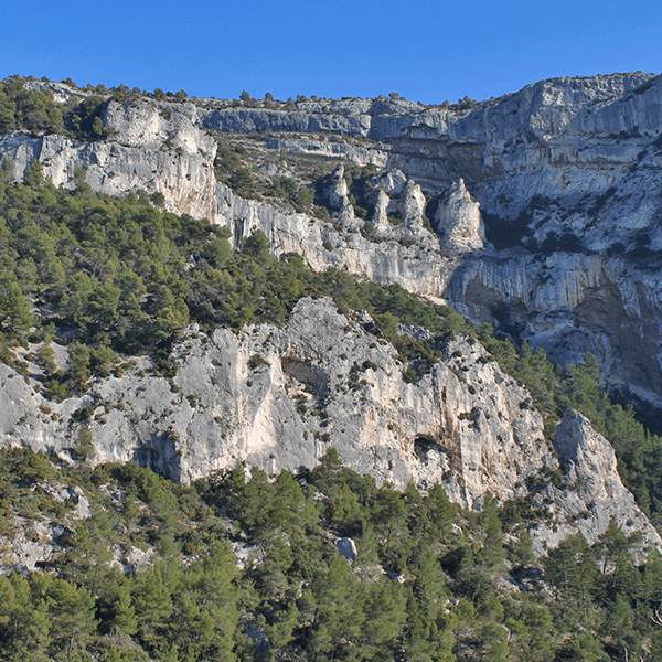 9015-normal-687f8a7f4c1899.24749583