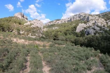 Les Monts de Vaucluse
